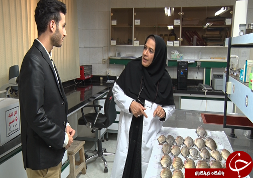 ماهی مهاجم، تهدید یا فرصت