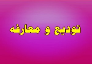 تکریم و معارفه مدیر عامل و رییس هیات مدیره سازمان آب و برق خوزستان/شمسایی معاون وزیر نیرو شد