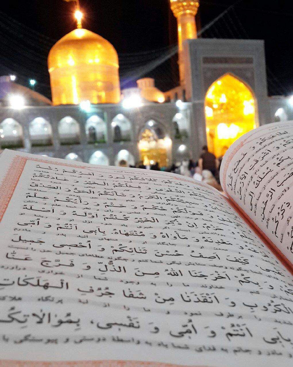 ماجرای تصویر سلطان سکه در حرم امام رضا(ع) چه بود؟