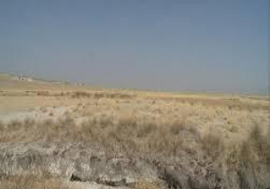 احیای دشت شهرکرد راهکار کاهش گرد و غبار است