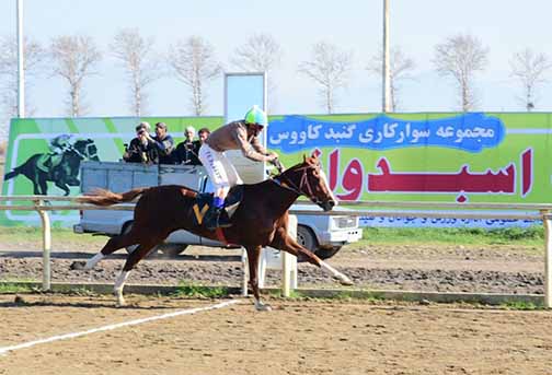 نتایج هفته دوازدهم مسابقات اسبدوانی زمستانه گنبدکاووس