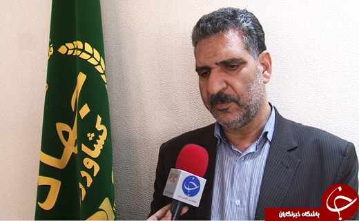 از حال و روز ناخوش صنعت فرآوری کنجد تا نسخه دولت برای بازگشت دوباره رونق تولید