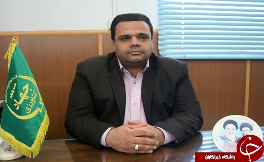 از حال و روز ناخوش صنعت فرآوری کنجد تا نسخه دولت برای بازگشت دوباره رونق تولید