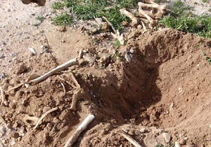 کشف گور دسته‌ جمعی قربانیان داعش در حومه تدمر