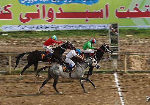 نتایج هفته سیزدهم مسابقات اسبدوانی زمستانه ۹۷