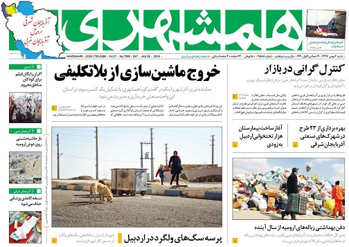پرسه سگ&zwnj;های ولگرد در اردبیل