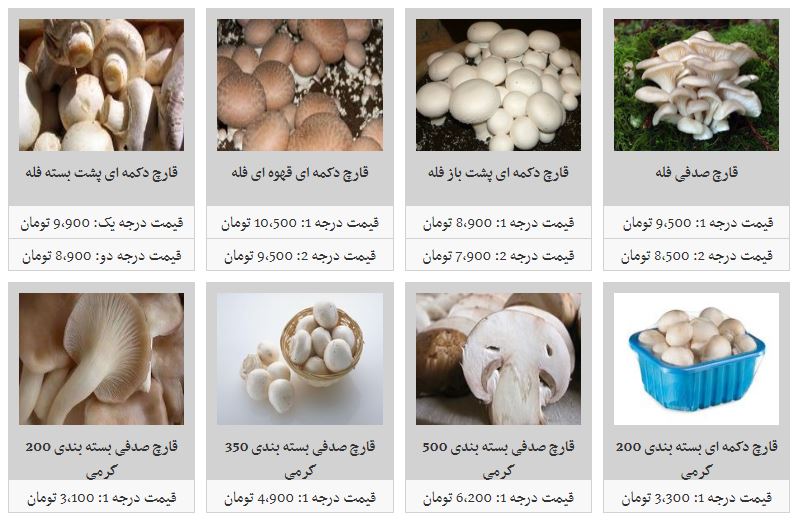 قارچ صدفی فله کیلویی چند؟