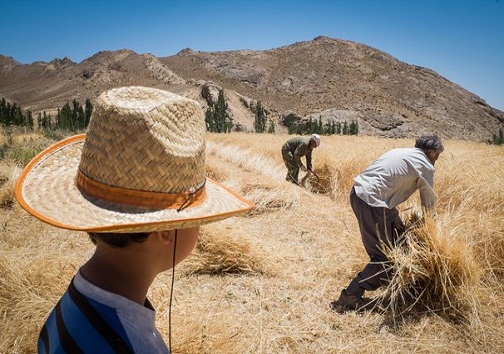 لالایی، احساس محبت عمیق مادر به فرزند / نوا&zwnj;های محلی، آوا&zwnj;هایی که رو به فراموشی است