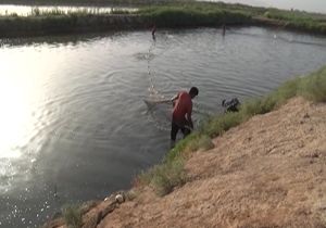 کارآفرینی با مزرعه پرورش ماهی تا انرژی خورشیدی، سرمایه&zwnj;ای رایگان +فیلم
