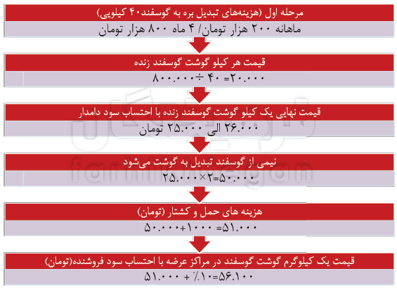 پشت پرده سود نجومی مافیای گوشت + جدول