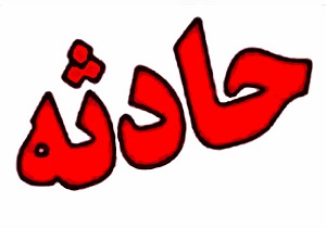 کشف مواد مخدر شیشه از داخل شارژر موبایل توسط ماموران گمرک+ عکس