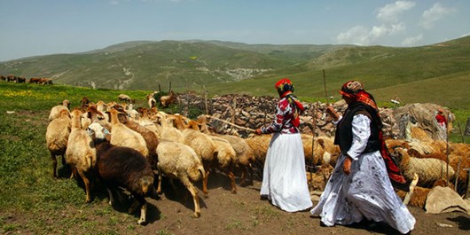 دریافت بسته حمایتی ۱۵ هزار بیمه شده روستایی و عشایر