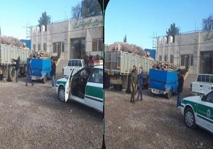 دو دستگاه خودروی حامل چوب غیر مجاز درچگنی توقیف شدند