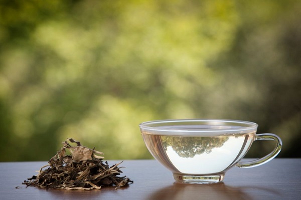 خواص چای سفید چیست؟/ تأثیر چای سفید در درمان سرماخوردگی، لاغری و دیابت