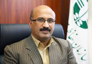 ۲۴ شکارچی غیر مجاز در دام محیط بانان مازندرانی