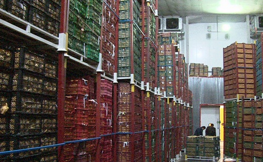ذخیره میوه نوروز ۹۸ استان سمنان