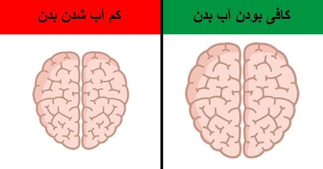 عادت&zwnj;ها و احساسات ما چه تأثیری روی مغز ما دارند؟
