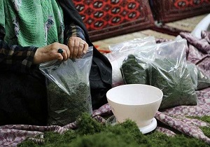 پرداخت بیش از ۲۰۰ میلیون تومان تسهیلات مشاغل خانگی به مددجویان