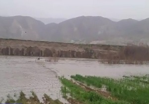 خسارت به مزارع کشاورزی در اثر رهاسازی آب سد سیمره + فیلم
