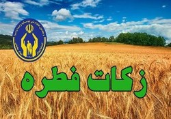 جمع&zwnj;آوری ۱۱ میلیارد و ۸۰۰ میلیون تومان زکات در استان زنجان