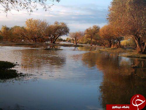 طبیعت زیبا و دیدنی پارک جنگلی عباس&zwnj;آباد + تصاویر