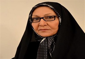 اولویت دولت احقاق حقوق زنان است/خانه داری براساس قوانین یک شغل است