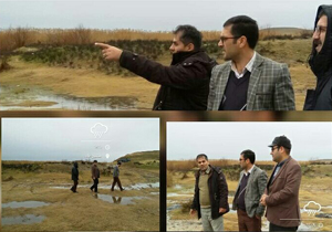 تالاب نوروزلوی میاندوآب برای بررسی بیماری آنفلوانزای فوق حاد پرندگان پایش شد