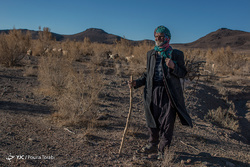 واکسیناسیون تب برفکی در روستای سید حسن الهایی