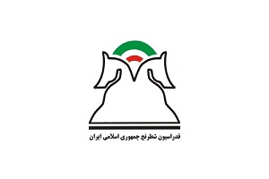 نگاهی به دست آورد‌های ۴۰ ساله شطرنج/ درخشش اساتید ایرانی در صفحه سیاه و سفید