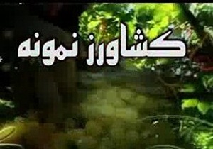 ۱۵ کشاورز استان همدان تولید کننده برتر کشور