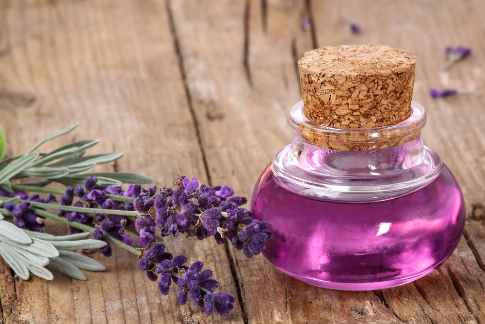 راهکار&zwnj;ی مناسب جهت خوب خوابیدن نوزاد/گیاهی موثر در خواب بهتر کودک