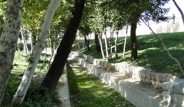 حفظ ناژوان در گرو آبیاری مناسب و حفاظت از فضای سبز است