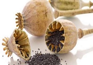هلاکت یک قاچاقچی مسلح / کشف یک تن و ۴۵۵ کیلوگرم مواد افیونی در خاش