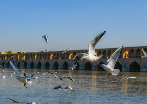 احیا دایمی زاینده رود با برنامه ریزی و تدبیر میسر است