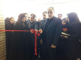 گشایش نمایشگاه توانمندی های زنان روستایی شهرستان کاشان