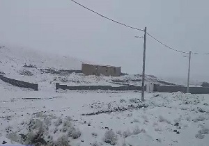 بارش زیبای برف در روستای "خشک" + فیلم