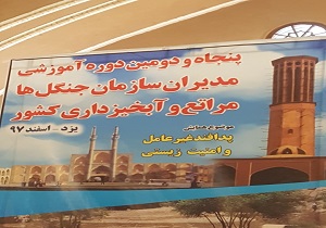 طرح مدیریت پایدار از جنگل ها اجرا می شود