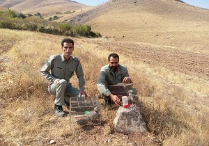 دستگیری ۲ نفر شکارچی متخلف در سرپل ذهاب