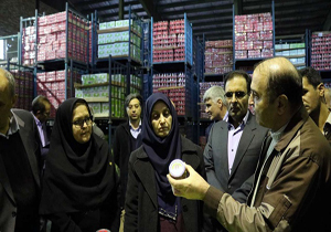 استاندارد با تولیدکنندگان صادرات محور همکاری می‌کند