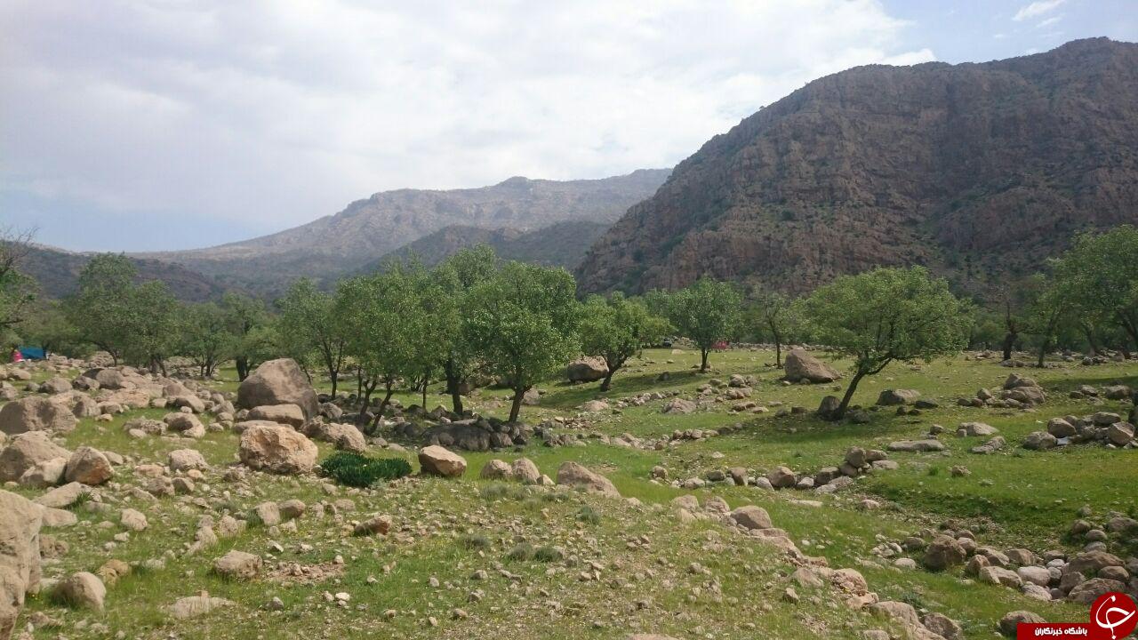 تصاویری از طبیعت بهاری در &laquo;هرایرز&raquo;