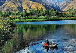 ساخت متفاوت ترین مستند حیاط وحش در همدان/ زندگی باگرگ های خاکستری برای تهیه مستند + فیلم