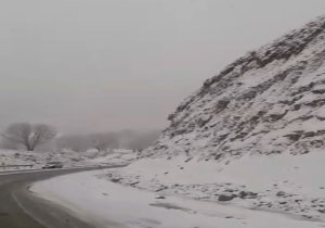خوشحالی شهروندان دشمن‌زیاری از بارش برف + فیلم