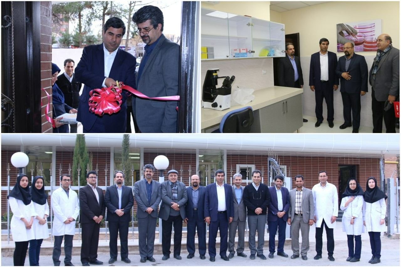 افتتاح مرکز جامع سلول درمانی و پزشکی بازساختی در کرمان
