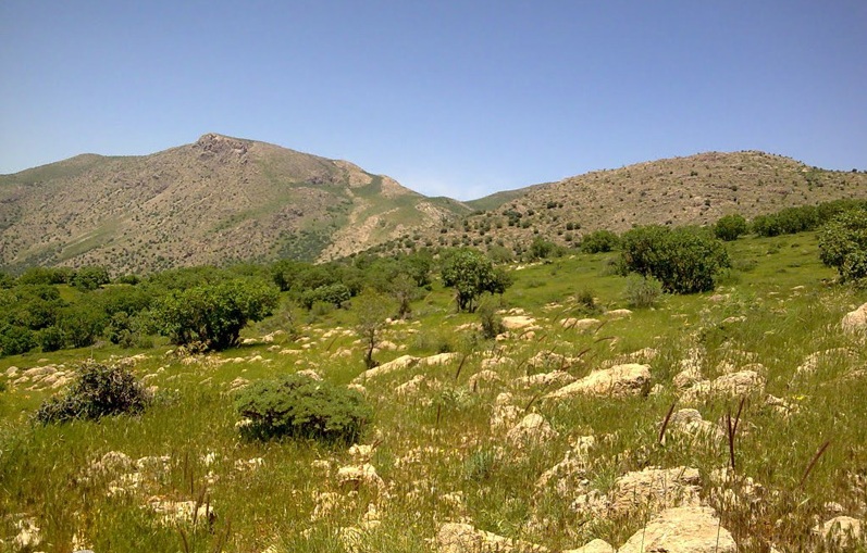 نیسا تاریخچه احتمالی کدام شهر است؟(برای نوروز)