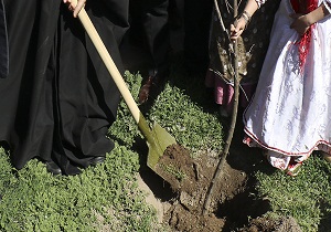 غرس نهال توسط نماینده ولی فقیه در استان سمنان