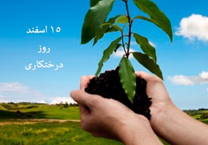 ۵۴۰۰ نهال در روز درختکاری در کردستان غرس می‌شود