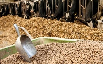 حجم بالای وارداتِ خوراک دام