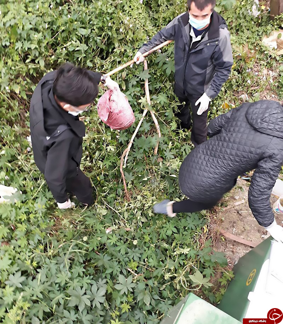 نوزاد ۷ روزه قربانی دعوای پدر و مادرش شد + تصاویر////