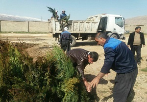 کشت بیش از ۱۸۰۰۰ - اصله نهال در هفته منابع طبیعی در شهرستان دالاهو