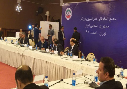 علی نژاد برای چهار سال دیگر رئیس فدراسیون ووشو شد